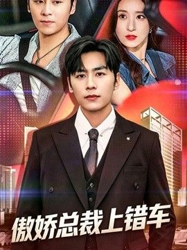 傲娇总裁上错车短剧